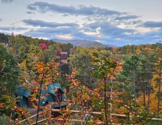 Bearly Behaving cabin - 7