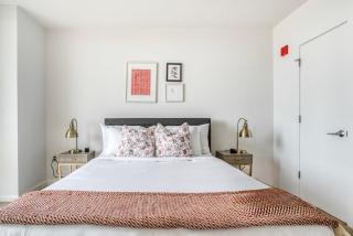 Tysons Corner 1br w pet grooming salon nr subway WDC-812 - 3