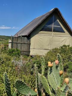 Harmony Luxury Tents & Safari - Addo - 1