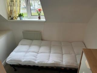 Single room in shared flat Valley Hill, Loughton - Loughton - 6