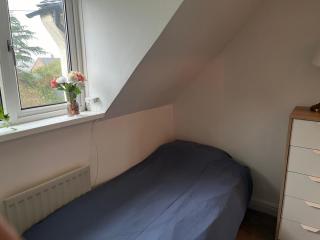 Single room in shared flat Valley Hill, Loughton - Loughton - 7