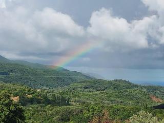 Guest House Christos - 5