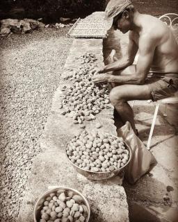 Trullo with swimming pool. Charme&relax - 2