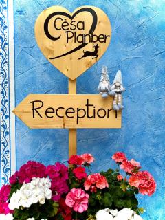 B&B Cèsa Planber Mountain View BIKE FRIENDLY - Canazei - 7