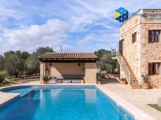 Finca rural S'Art 9 - Ses Salines - 5