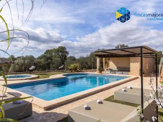 Finca rural S'Art 9 - Ses Salines - 4