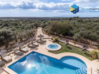 Finca rural S'Art 9 - Ses Salines - 3