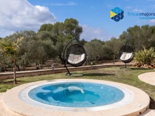 Finca rural S'Art 9 - Ses Salines - 1