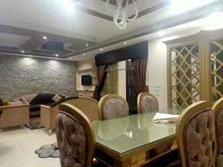 Platinum Luxury Apartment شقه فندقيه - Cairo - 9
