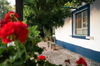 Quinta do Archino - 8