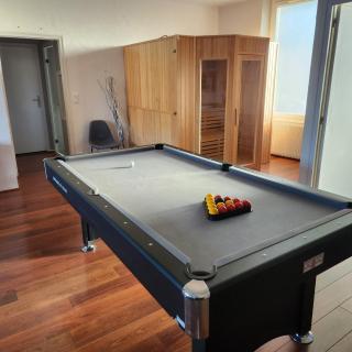 Magnifique logement spa - Pau - 3
