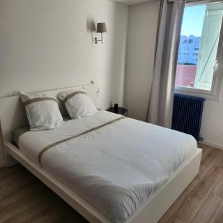 Magnifique logement spa - Pau - 1