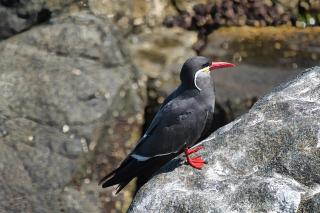 Rincones del Placer, un lugar repleto cariño - 6
