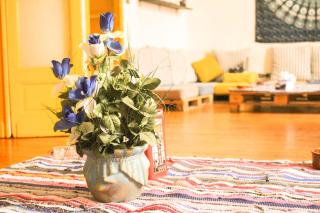 Ithaka Mansheya Hostel Alexandria - Alexandrie - 7