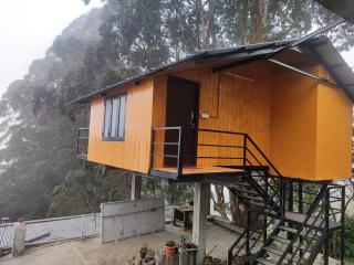Kelvin Eva wood house - Kodaikānāl - 2