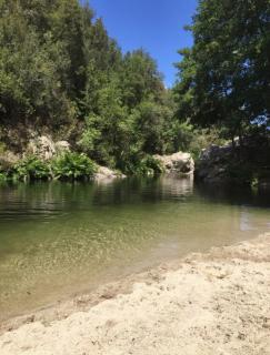 Cabane - Olivese - 6