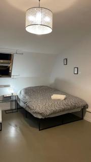 Appartement Cosy le Bonduelle 3 - Anzin - 0