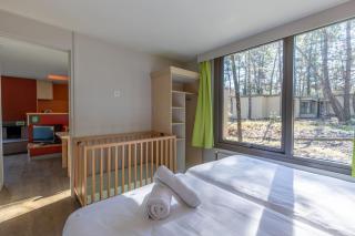 Cottage Les Hauts de Bruyères-763 - Chaumont-sur-Tharonne - 1