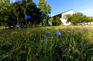 Fiori di campo holiday home - Treviso - 2