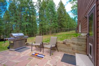 Woodland Park Chalet with Deck, Grill and Mtn Views! - 9