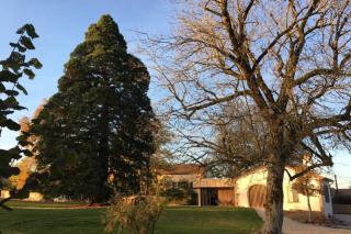 Gite avec mezzanine le Clos des Sœurs - 8