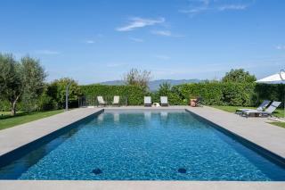 Il Fico e La Civetta - 5