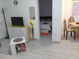 Apartman Plaza 9 Srebrno jezero - Veliko Gradište - 3