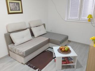 Apartman Plaza 9 Srebrno jezero - Veliko Gradište - 4