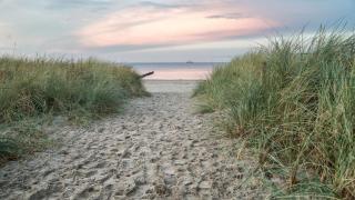 Sea Shell - Dziwnówek - 2