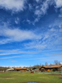 Bosquey Ranch B&B - Alice Castello - 5