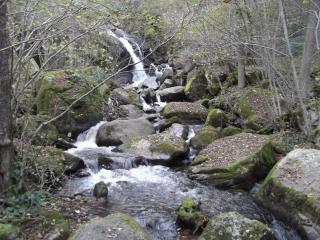 Entre Vulcania et le Sancy - Gelles - 2