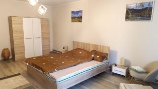 Trinity Apartment - Baia Mare - 3