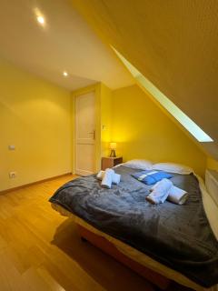 Le Colmarien - hypercentre - free parking - terrasse - Colmar - 5