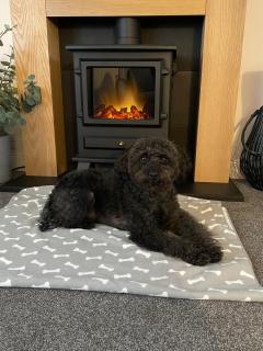 Kinneuchar Cottage - by Elie, Dog Friendly. - 5