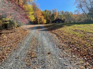 Sperryville 3 BR house next to Blue Ridge Mts. - Sperryville - 4