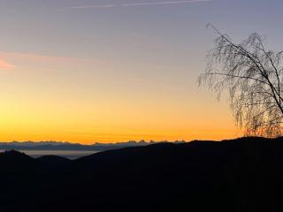 Un coin de montagne - Linthal - 6