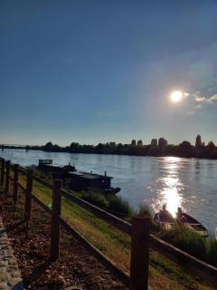 La Halte des Bateliers et des Vignobles - Rochefort-sur-Loire - 4