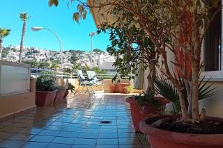 Amplio apartamento zona P4 con gran terraza - 5