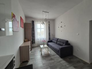 Apartament w Centrum - Sulechów - 4