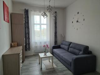 Apartament w Centrum - Sulechów - 5
