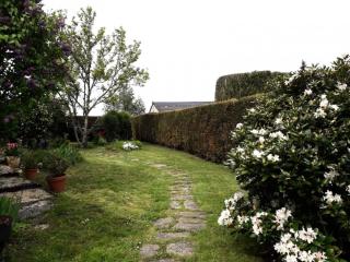 Gîte de France Les hortensias 3 épis - Gîte de France 2 personnes MAE-9614 - 3