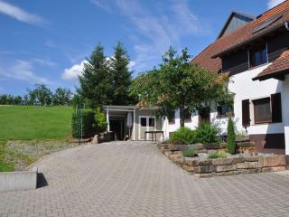 Pleasant apartment in Zell am Harmersbach - Zell am Harmersbach - 9