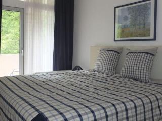 Appealing apartment in Bad Harzburg - Bad Harzburg - 7