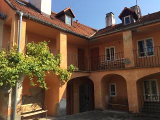 Apartments at the Golden Plough - Praga - 8