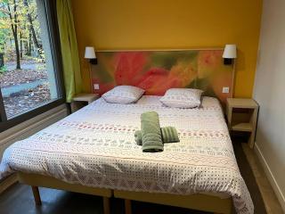 Cottage les Hauts de Bruyères-905 - Chaumont-sur-Tharonne - 3