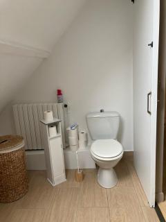Chambre à louer avec grand lit 160 par 200 au Mans - Le Mans - 6