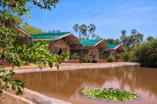 BoraBora Wildlife park and Luxury Tented Safari Camp Diani - Diani Beach - 6