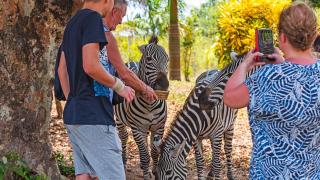 BoraBora Wildlife park and Luxury Tented Safari Camp Diani - Diani Beach - 7