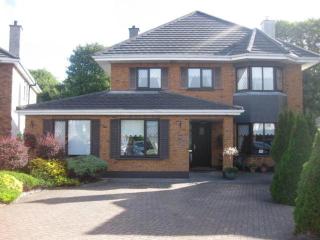 Corrib View Guesthouse h91rr72 - Galway - 0