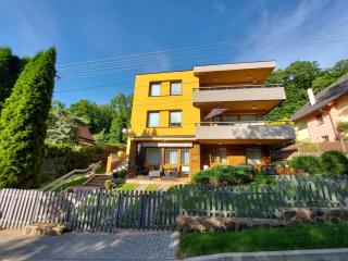 Apartmány Luhačovice - Luhačovice - 4